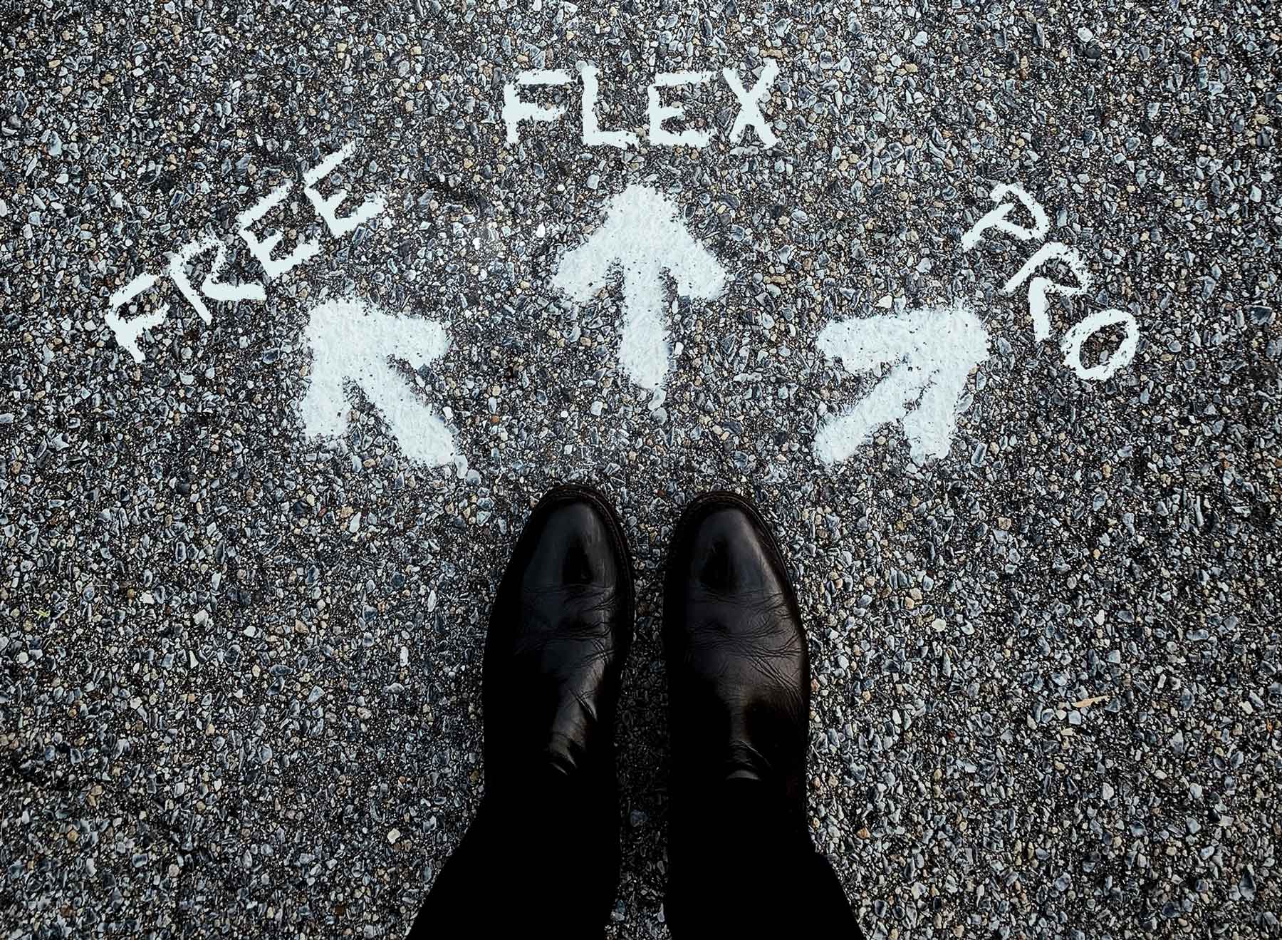 subcription model free flex