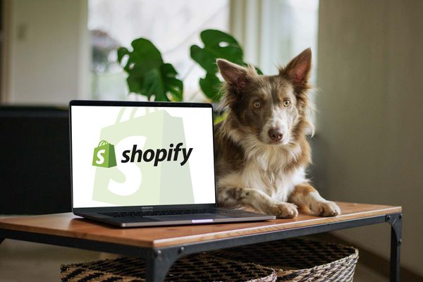Shopify Τιμές: Ποιο πακέτο Shopify είναι το καλύτερο για σας και τι κόστος έχει;